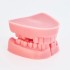 Стоматологическая модель для обучения навыков наложения швов на полость рта и десны, симулятор челюсти человека (комплект - 4 шт)